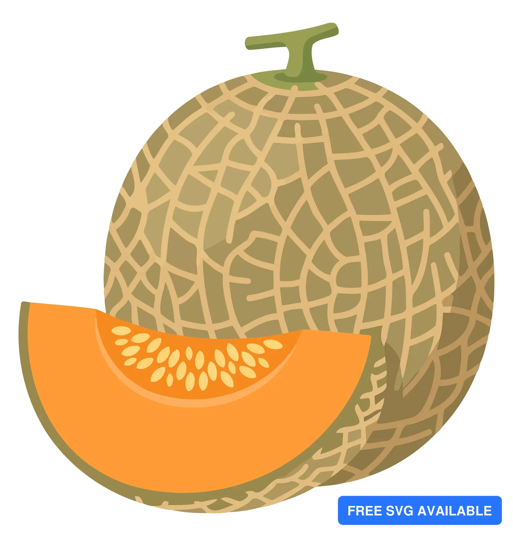 A stylized vector illustration of a watermelon with a slice showing its orange interior and green net pattern.