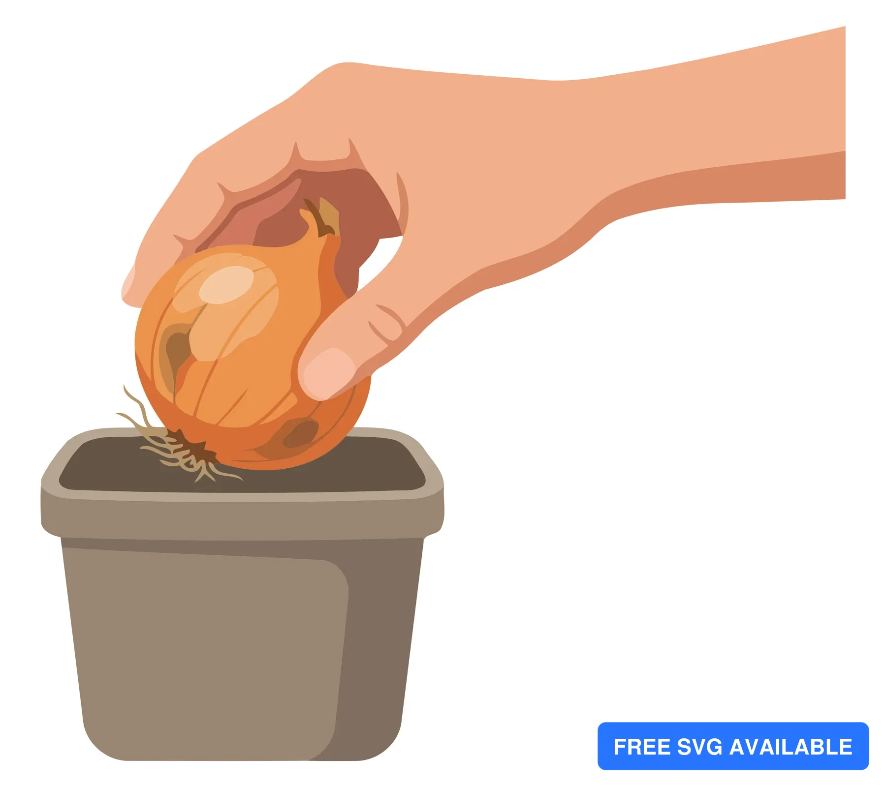 A hand planting an onion bulb in soil inside a pot