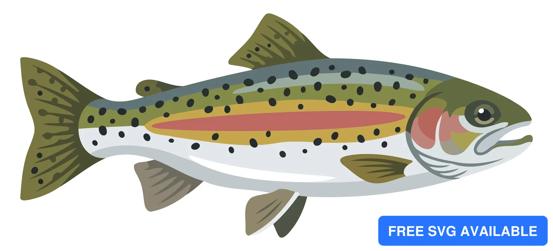 A colorful vector illustration of a rainbow trout fish
