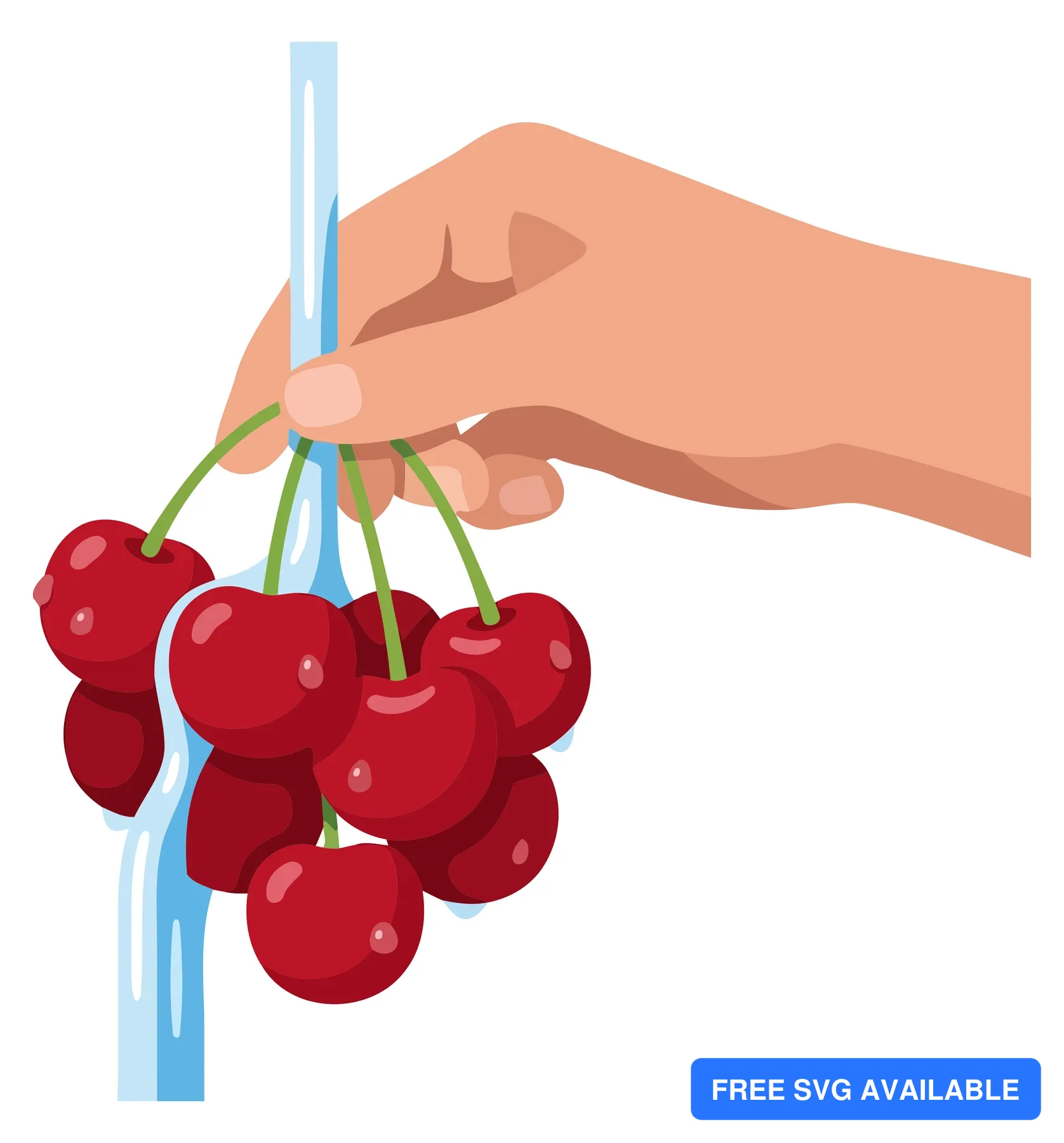 A hand holding a bunch of red cherries with green stems in an illustration style