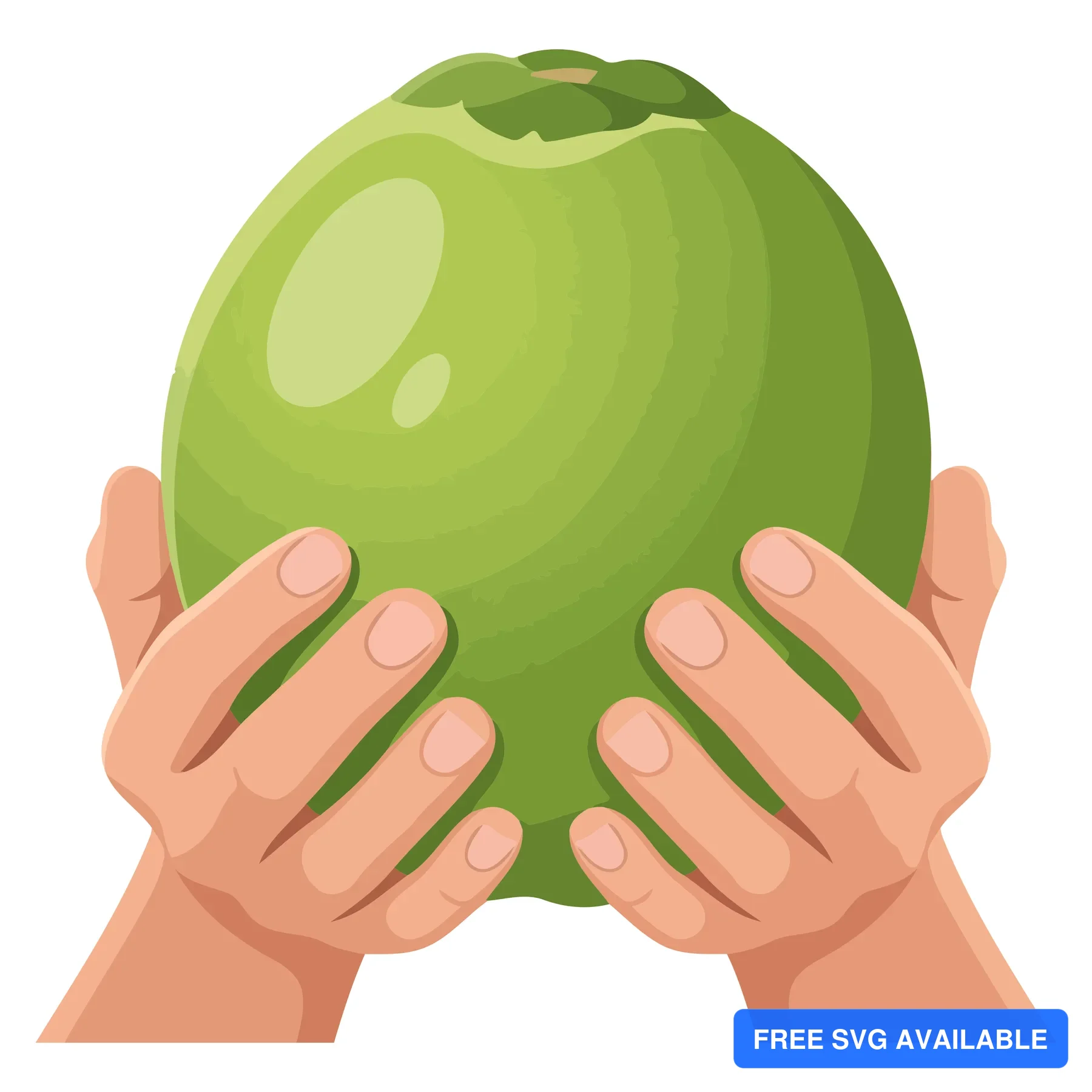 A hand cradling a green fruit with a textured surface