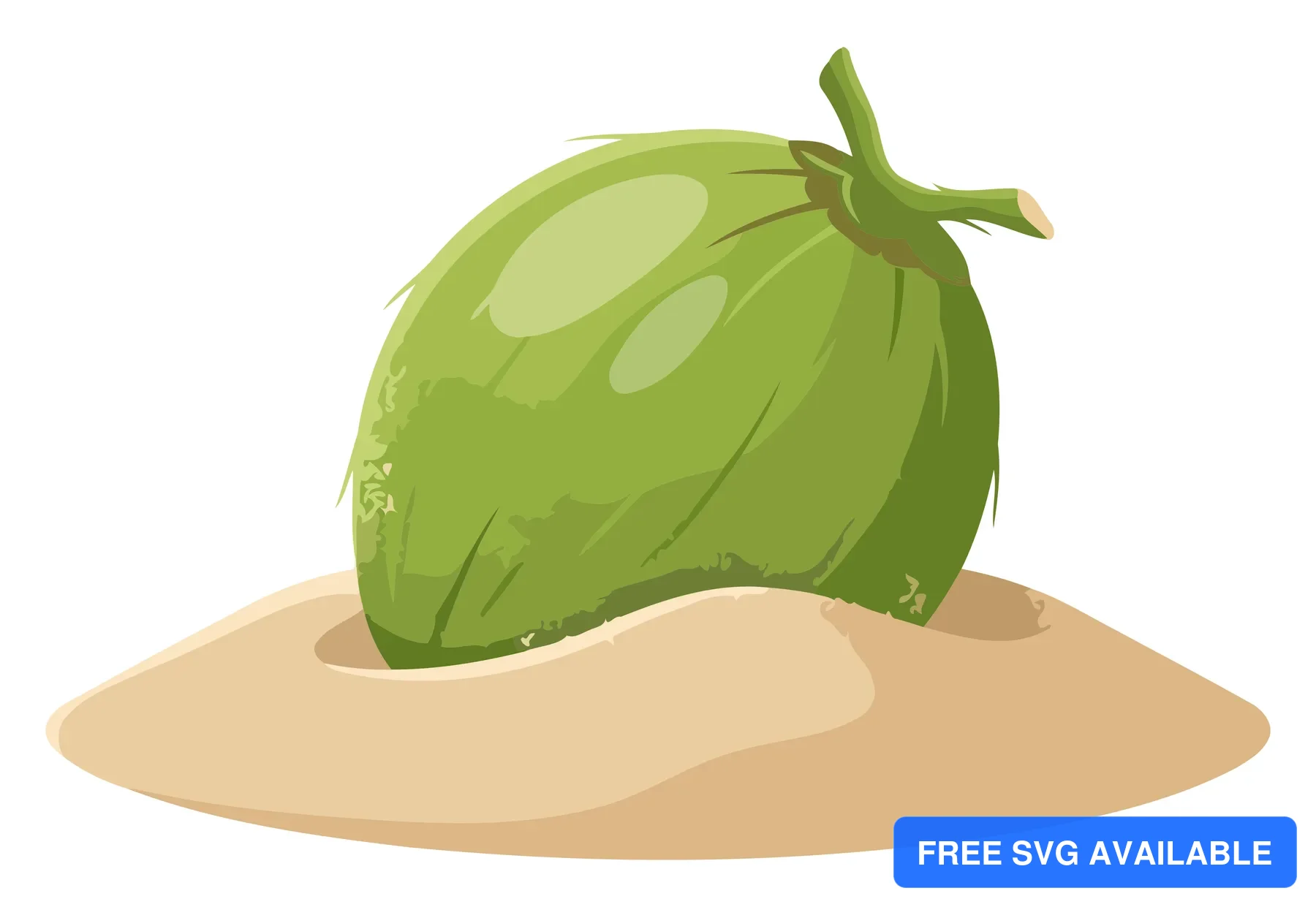 A green coconut fruit illustration on a sandy background in a stylized vector design.
