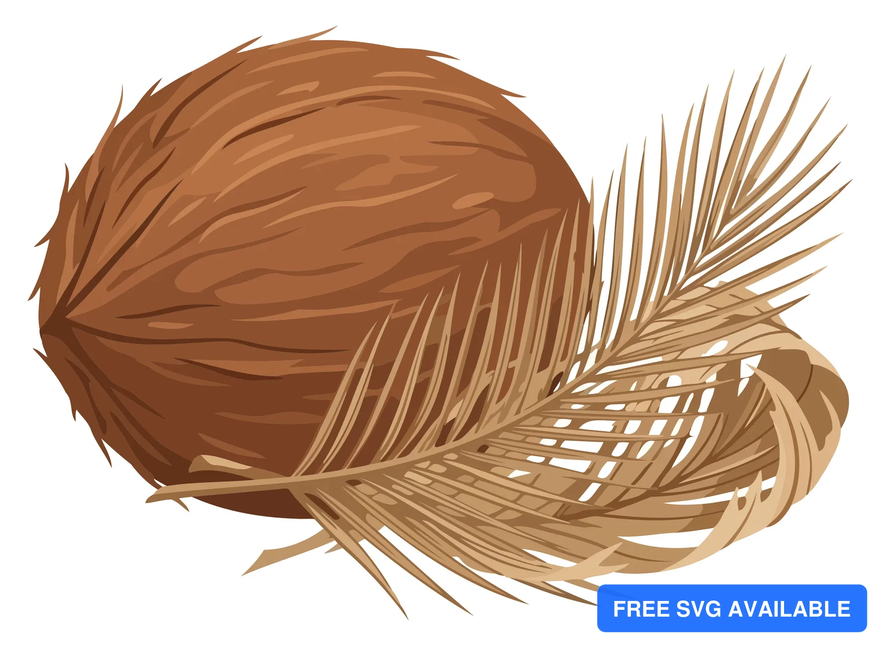 A coconut with palm fronds in a natural vector illustration
