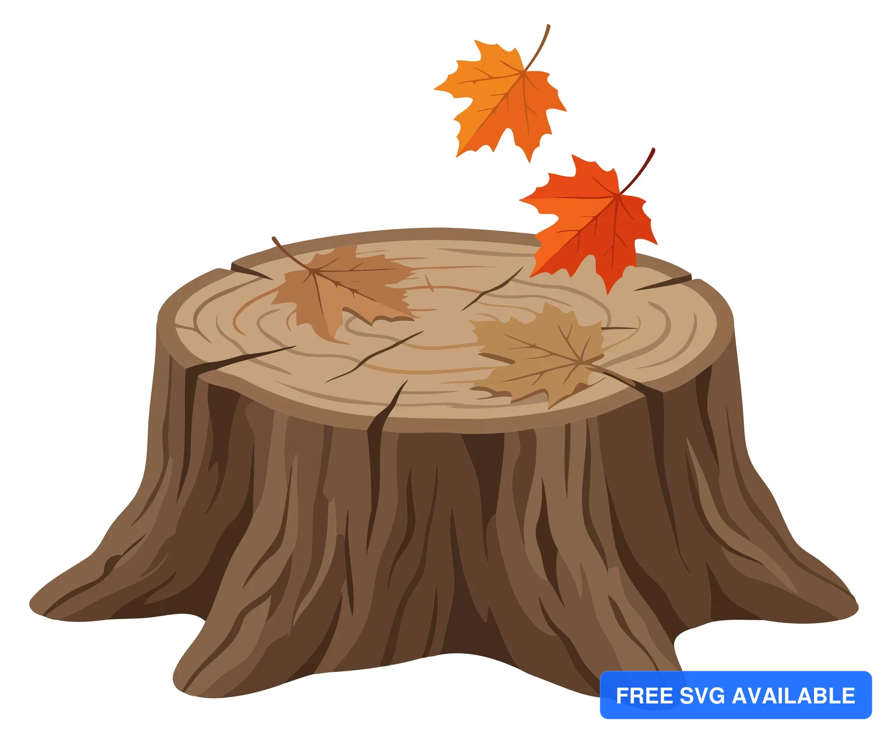 A tree stump with autumn leaves floating above it in an illustration style
