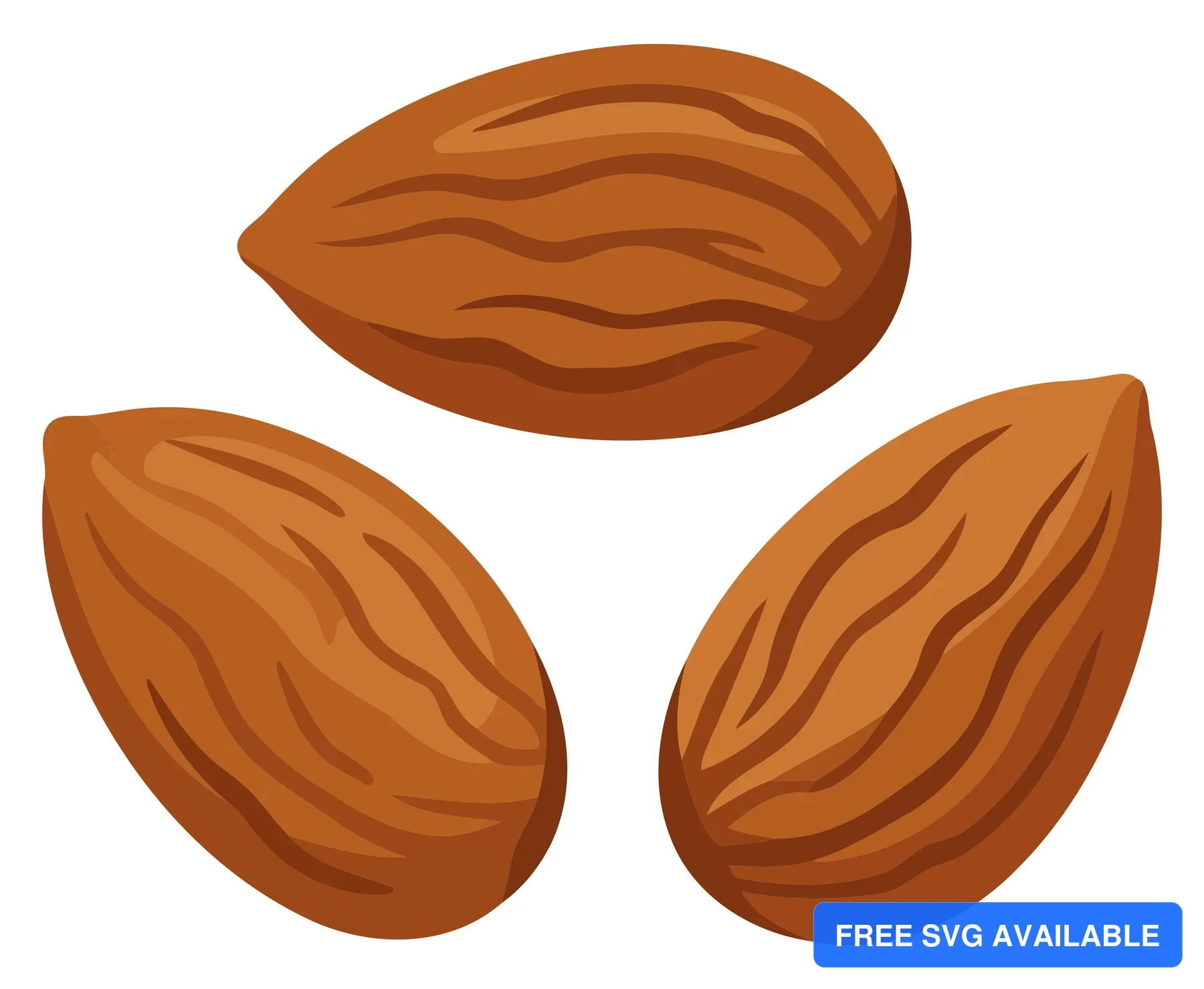 Three almond nuts illustrated with natural texture in a brown color