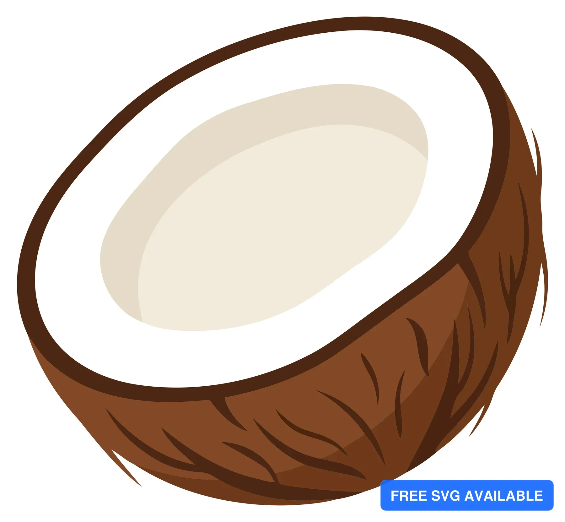 A vector illustration of a coconut with a textured shell and white interior