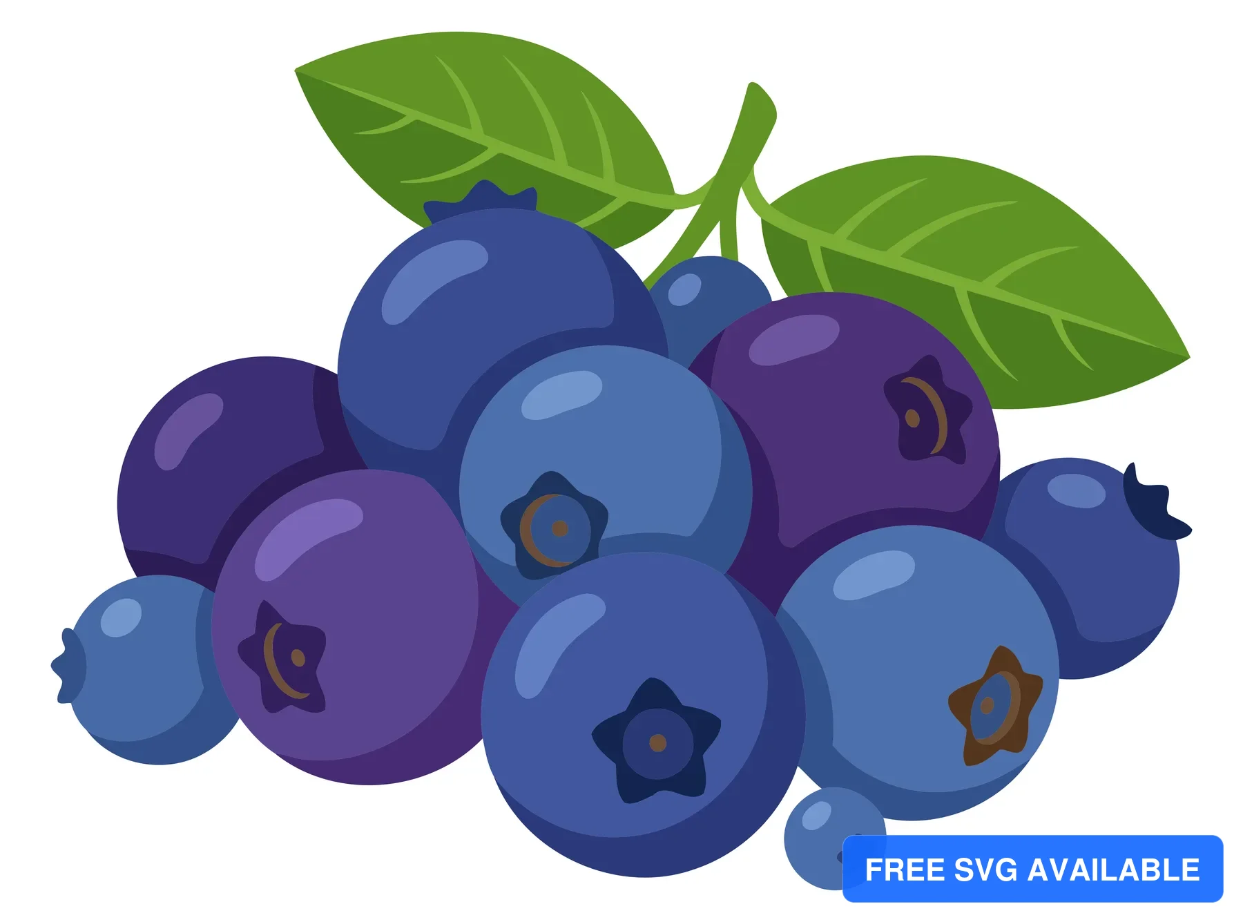 A colorful illustration of blueberries with a green leaf