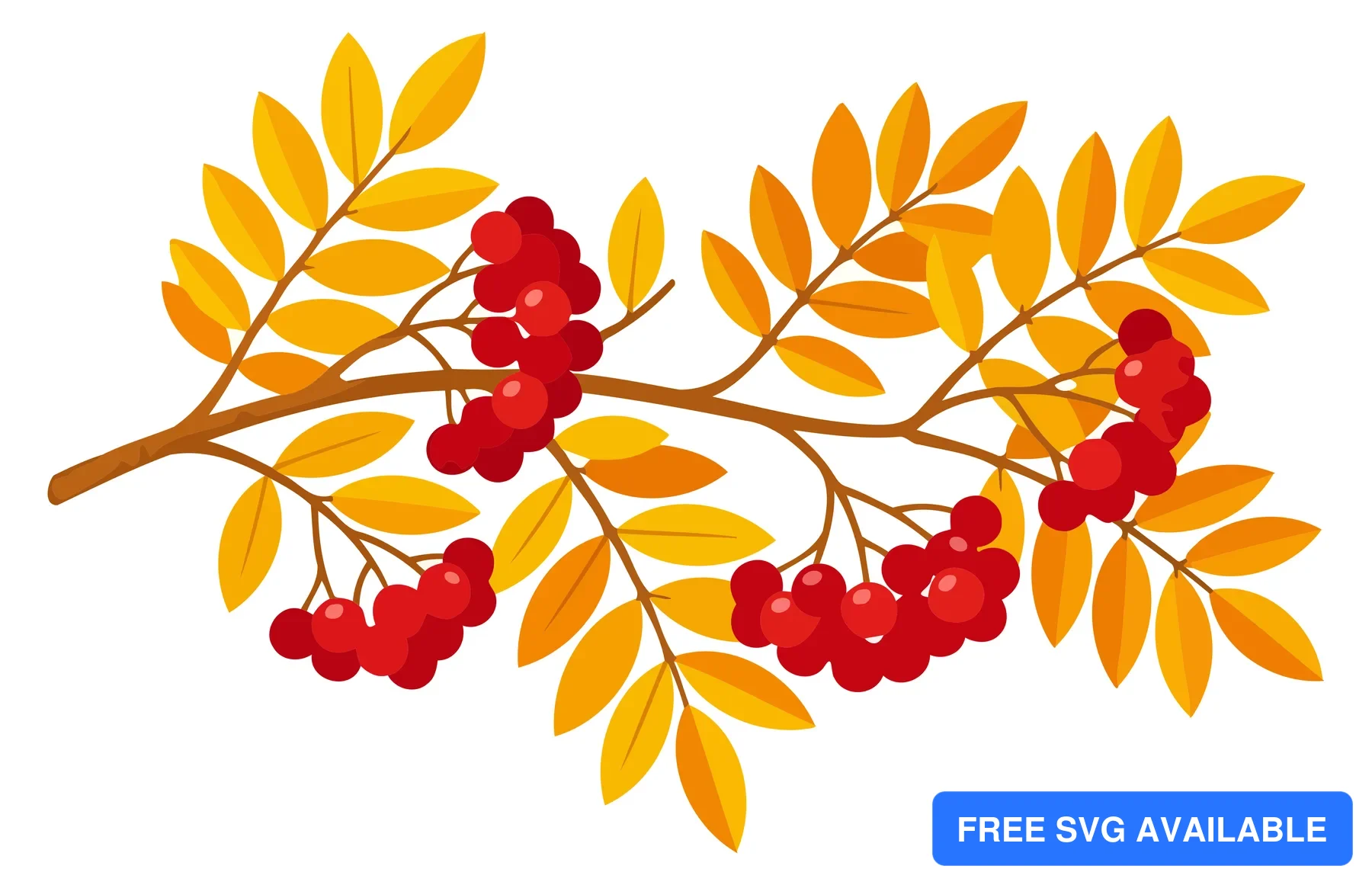 A stylized illustration of autumn leaves and red berries on a tree branch