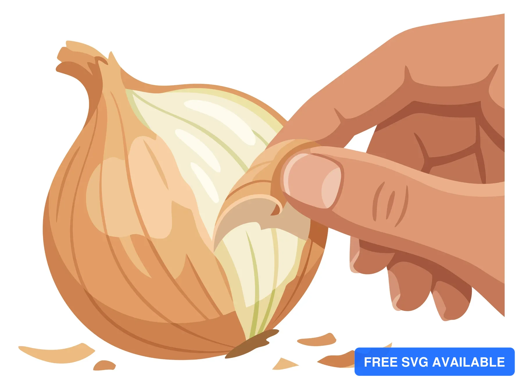 A hand peels an onion in an illustrated food vector graphic.