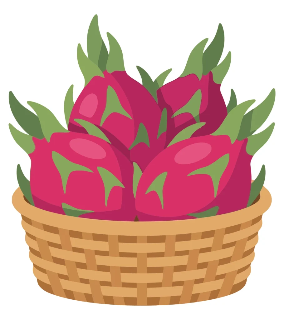 a basket full of fresh, ripe dragon fruits with vibrant pink skin and green scales, illustrated in a clean, flat vector style, perfect for h