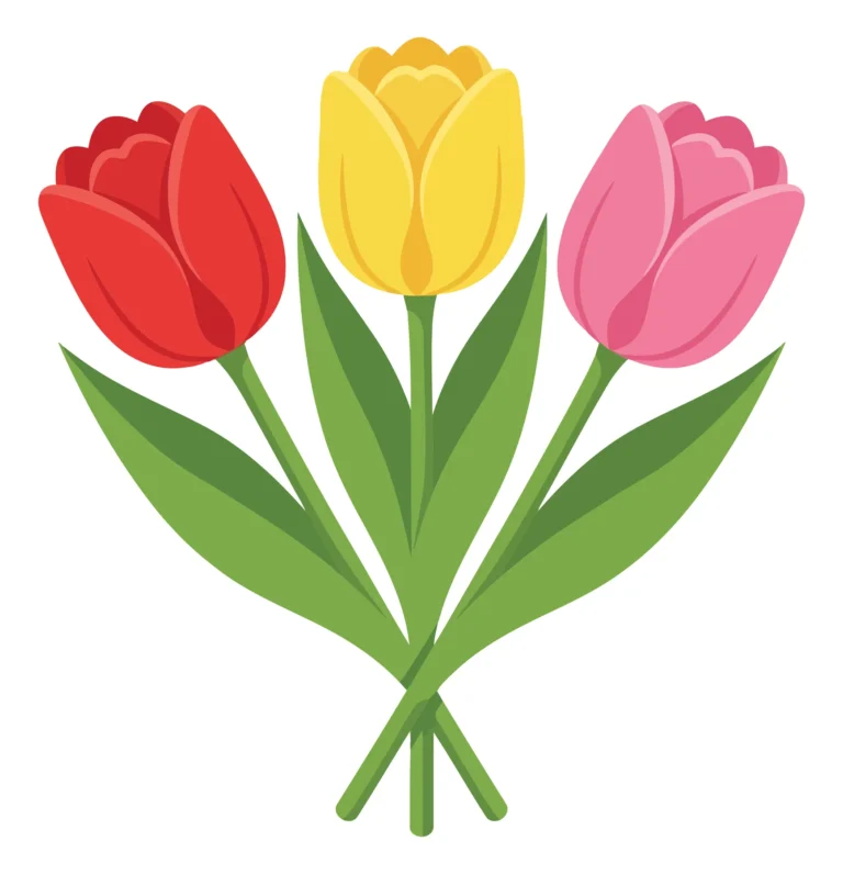 a beautiful bouquet of three colorful tulips in red, yellow, and pink with green leaves isolated on white background