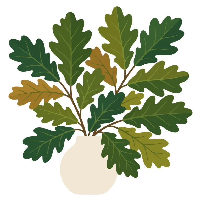 a beautiful flat vector illustration of a potted plant with oak leaves in a minimalist ceramic vase, perfect for interior design, naturethem
