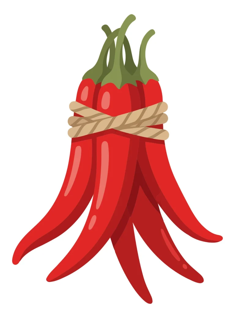 a bundle of fresh red chili peppers tied together with a rustic rope, isolated on white background