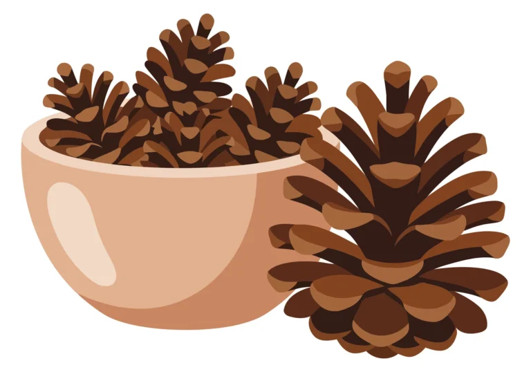 a ceramic bowl filled with natural pine cones next to a large single pine cone, decorative rustic autumn or winter seasonal arrangement, fla