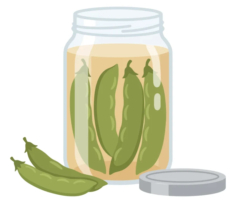 a glass jar filled with pickled green pea pods, accompanied by two fresh pea pods and a metal lid, presented as a flat vector illustration