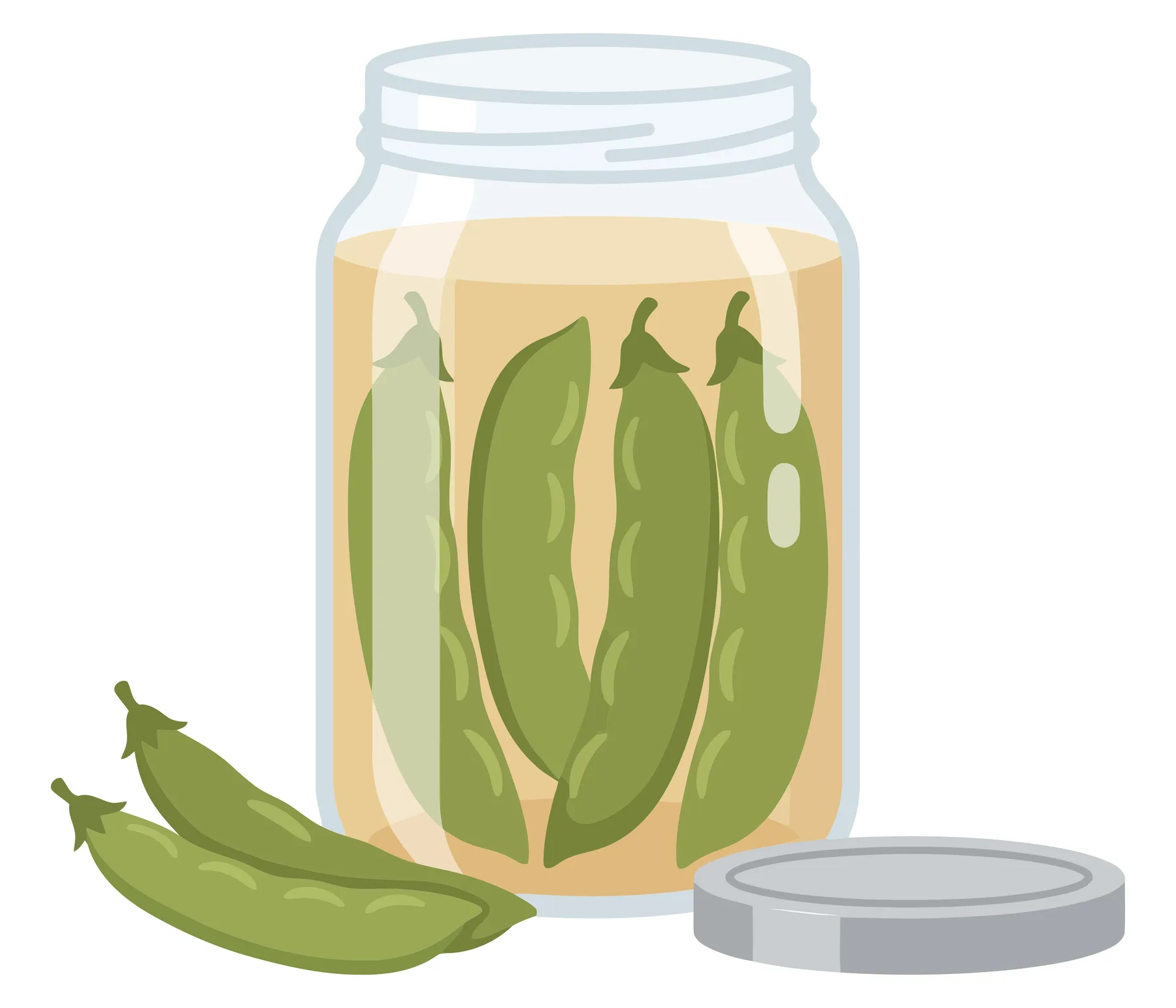 a glass jar filled with pickled green pea pods, accompanied by two fresh pea pods and a metal lid, presented as a flat vector illustration