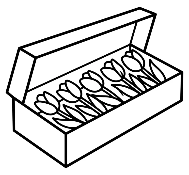 Open Gift Box with Five Tulip Flowers Line Art