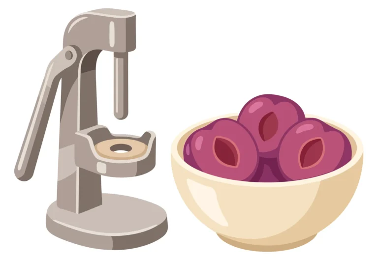a mechanical cherry pitter with a bowl of pitted plums isolated on white background