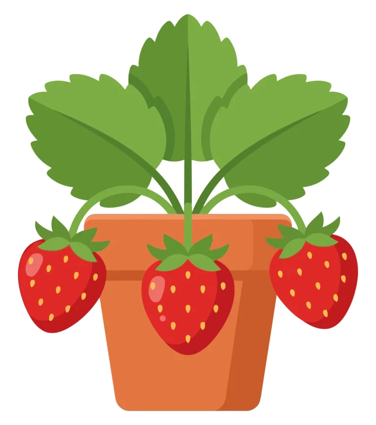 a potted strawberry plant with three ripe red strawberries and lush green leaves, depicted in a clean, flat vector illustration style