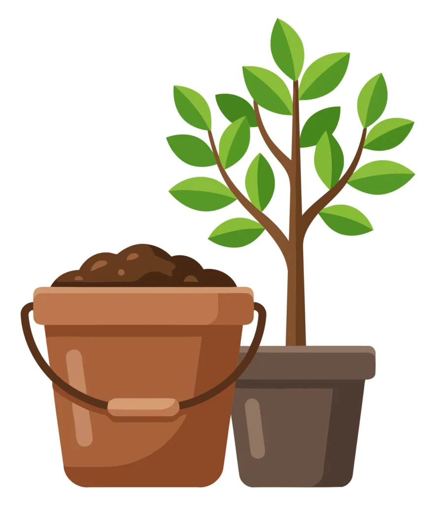 a small green sapling in a pot next to a bucket filled with rich soil, isolated on white background