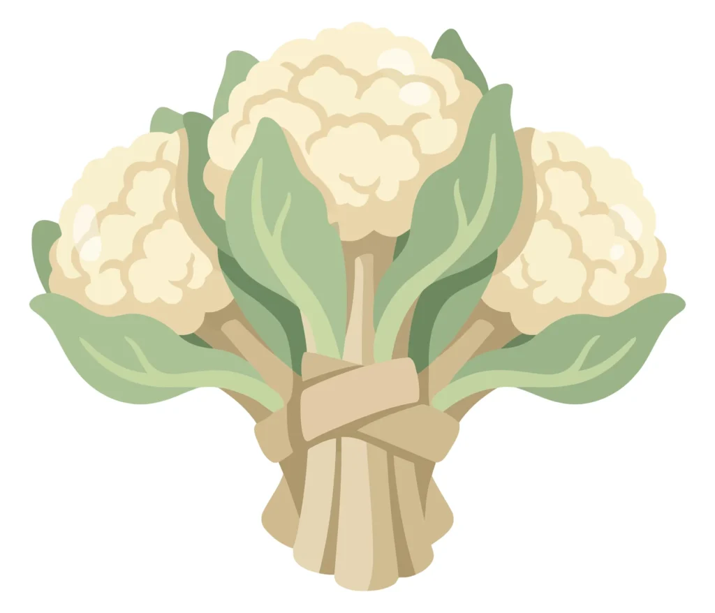 A Stylized Illustration Of A Fresh Cauliflower Bouquet Tied Together With A Simple Band, Featuring Creamy White Florets And Soft Green Leave a stylized illustration of a fresh cauliflower bouquet tied together with a simple band, featuring creamy white florets and soft green leave