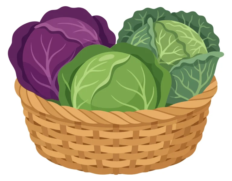 a woven basket filled with three fresh heads of cabbage, including one purple cabbage and two varieties of green cabbage, arranged together
