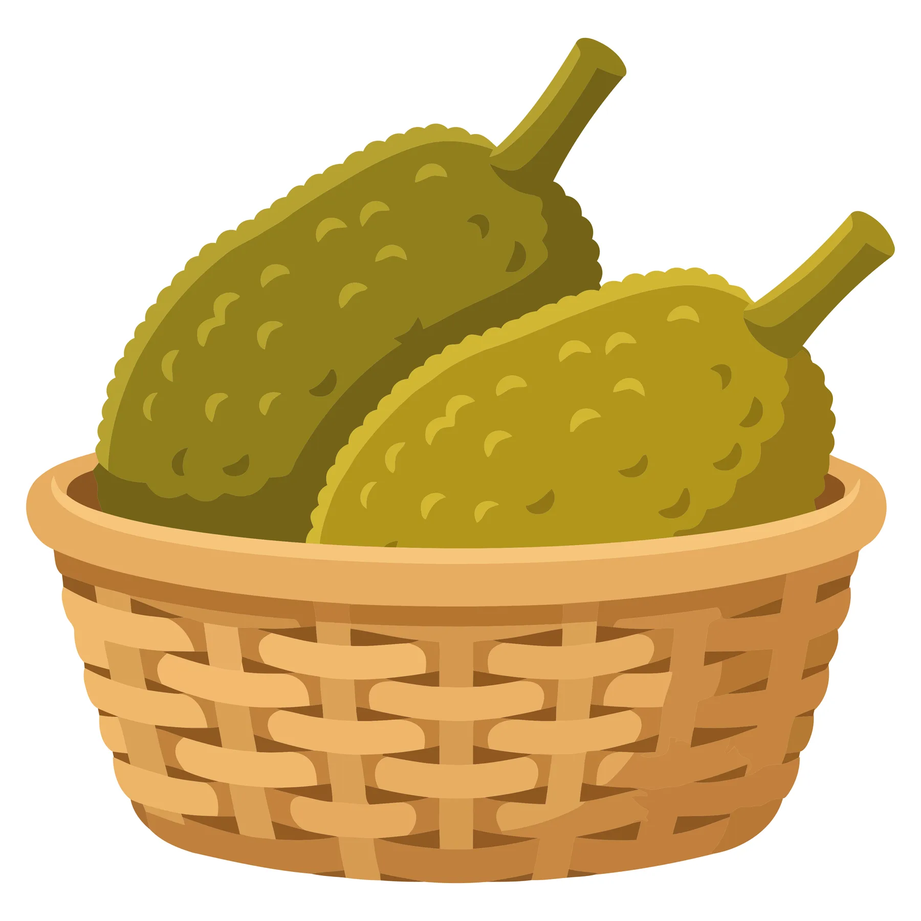 a woven basket filled with two green jackfruits, isolated on white background