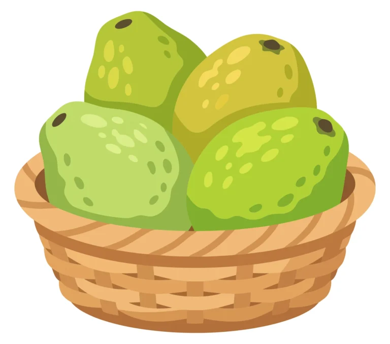 a woven wicker basket filled with fresh whole green guavas isolated on white background