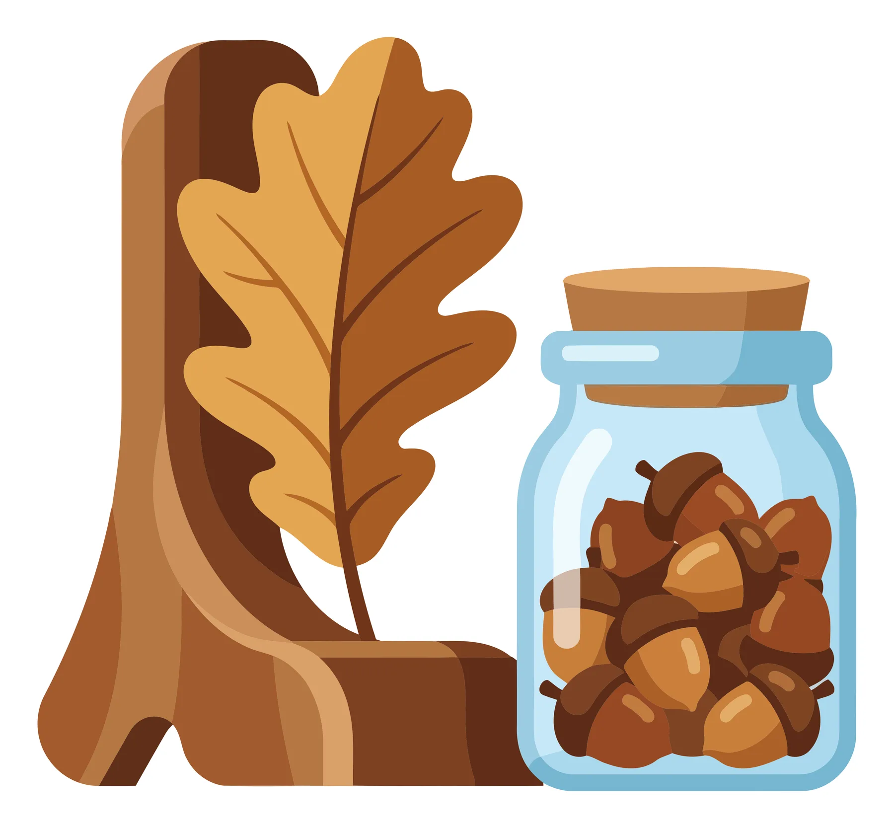 autumn composition with a large oak leaf and a glass jar filled with brown acorns, seasonal fall harvest illustration