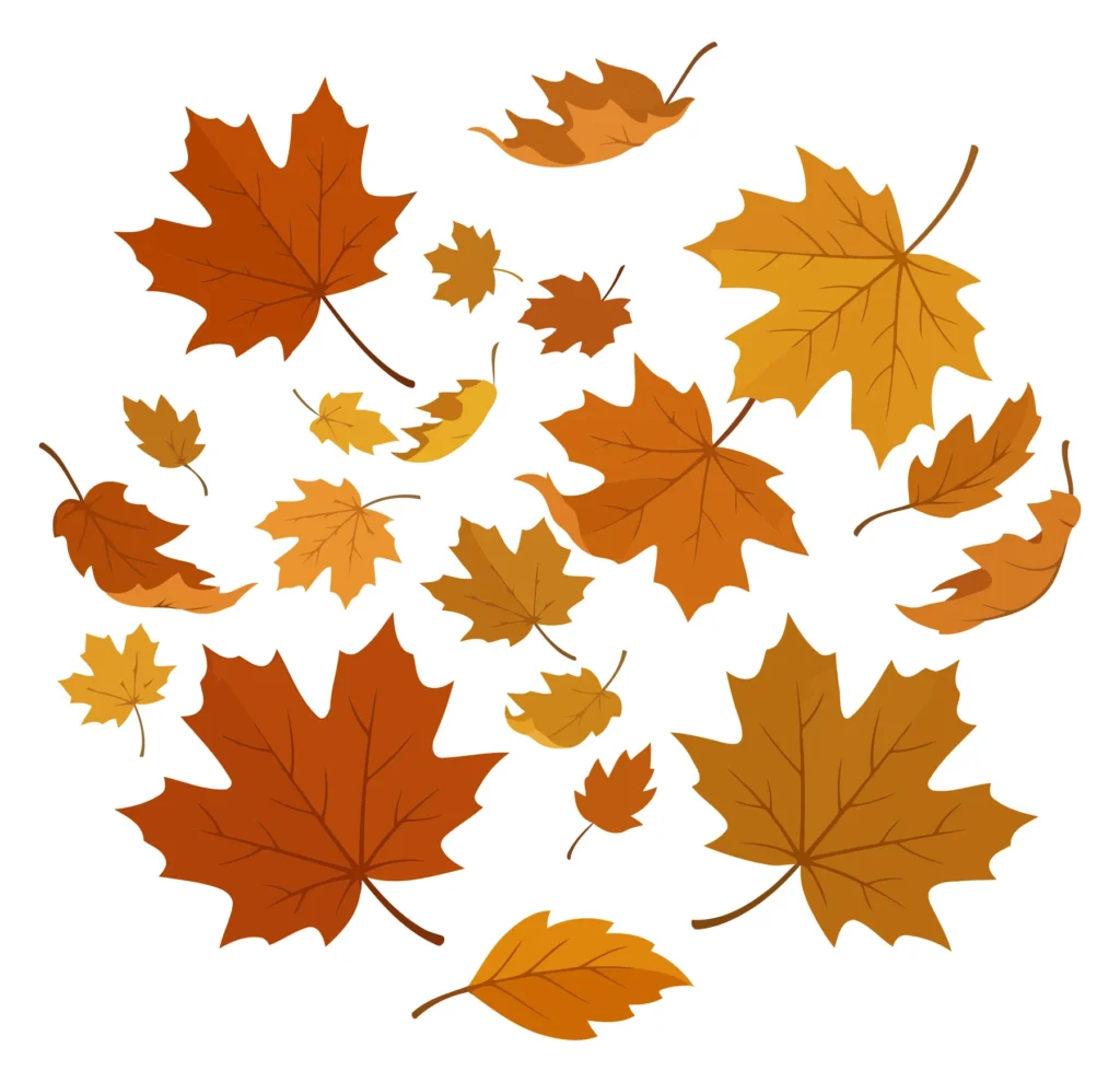 autumn leaves falling