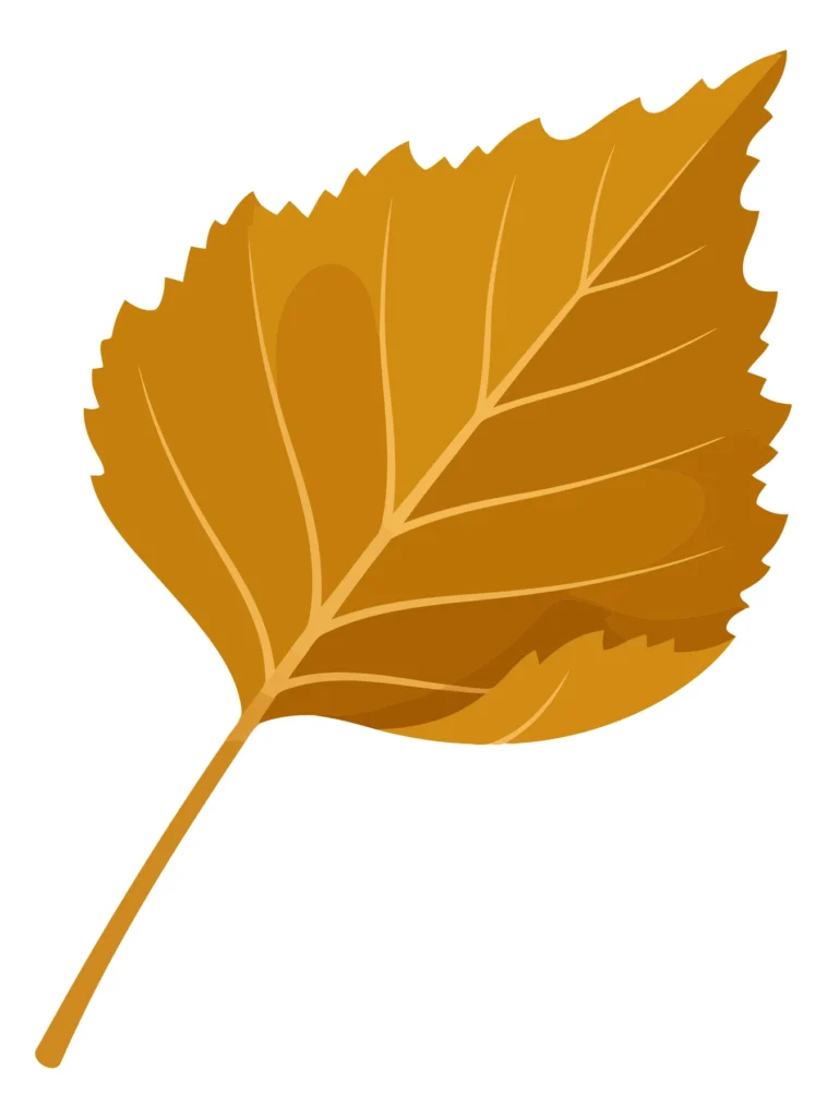 autumn yellow leaf