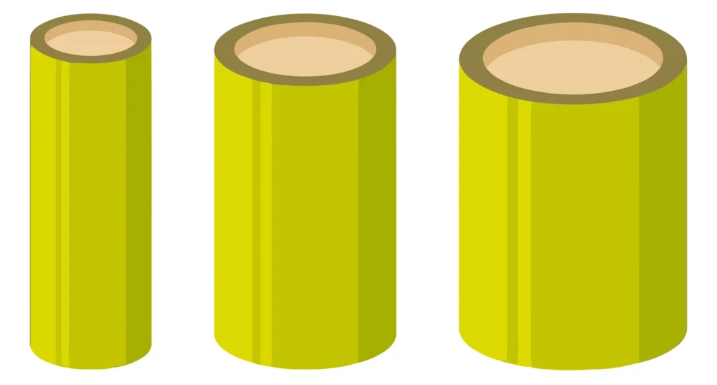 bamboo stalk cross sections showing different diameters vector illustration
