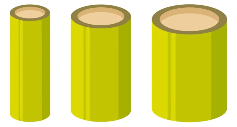 bamboo stalk cross sections showing different diameters vector illustration