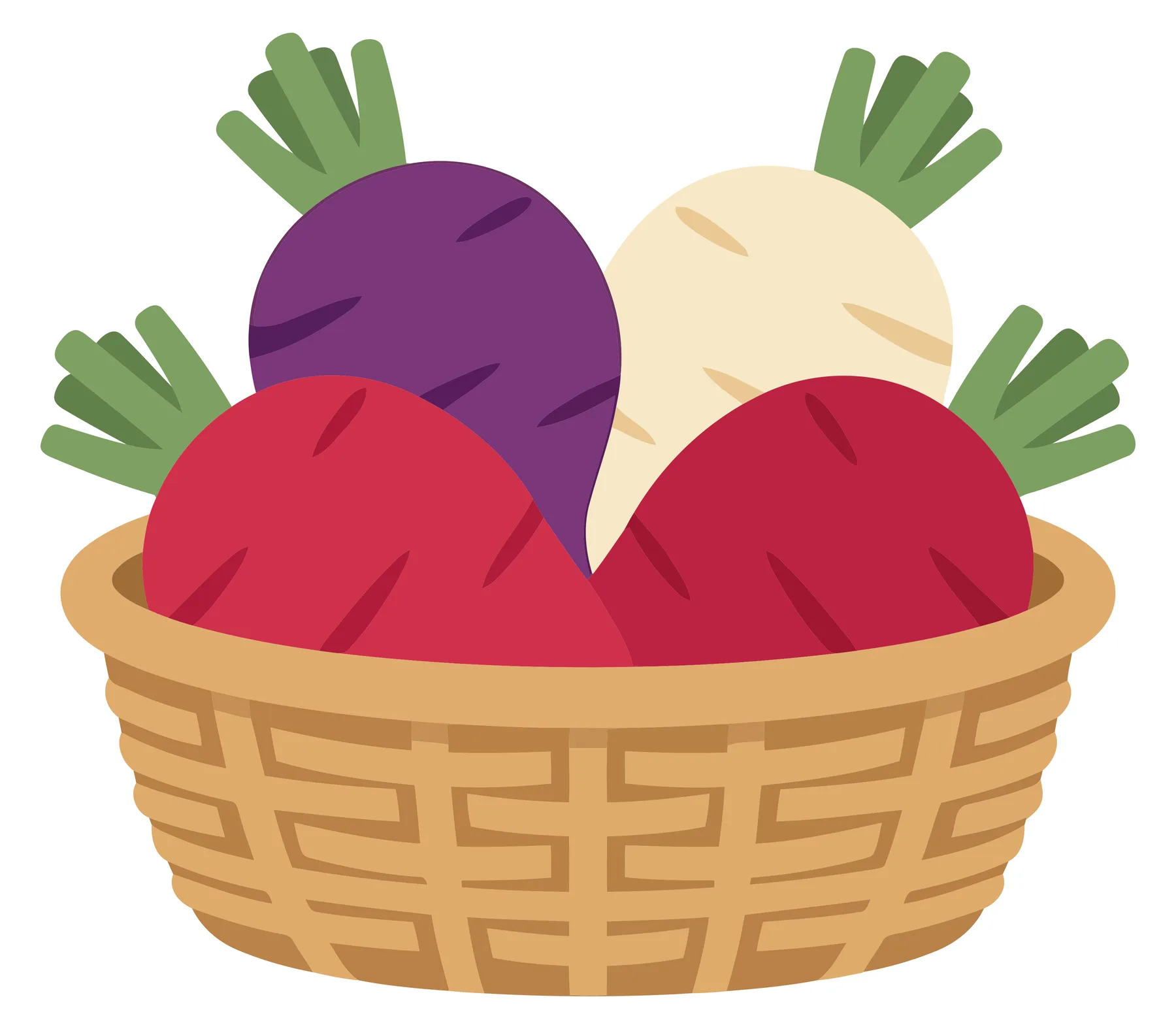 basket filled with fresh colorful root vegetables including purple, white, and red radishes or turnips with green leafy tops, isolated on wh