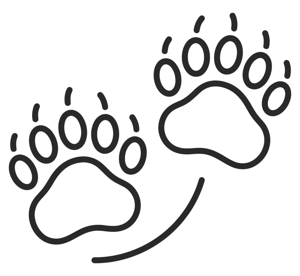 bear paw prints icon