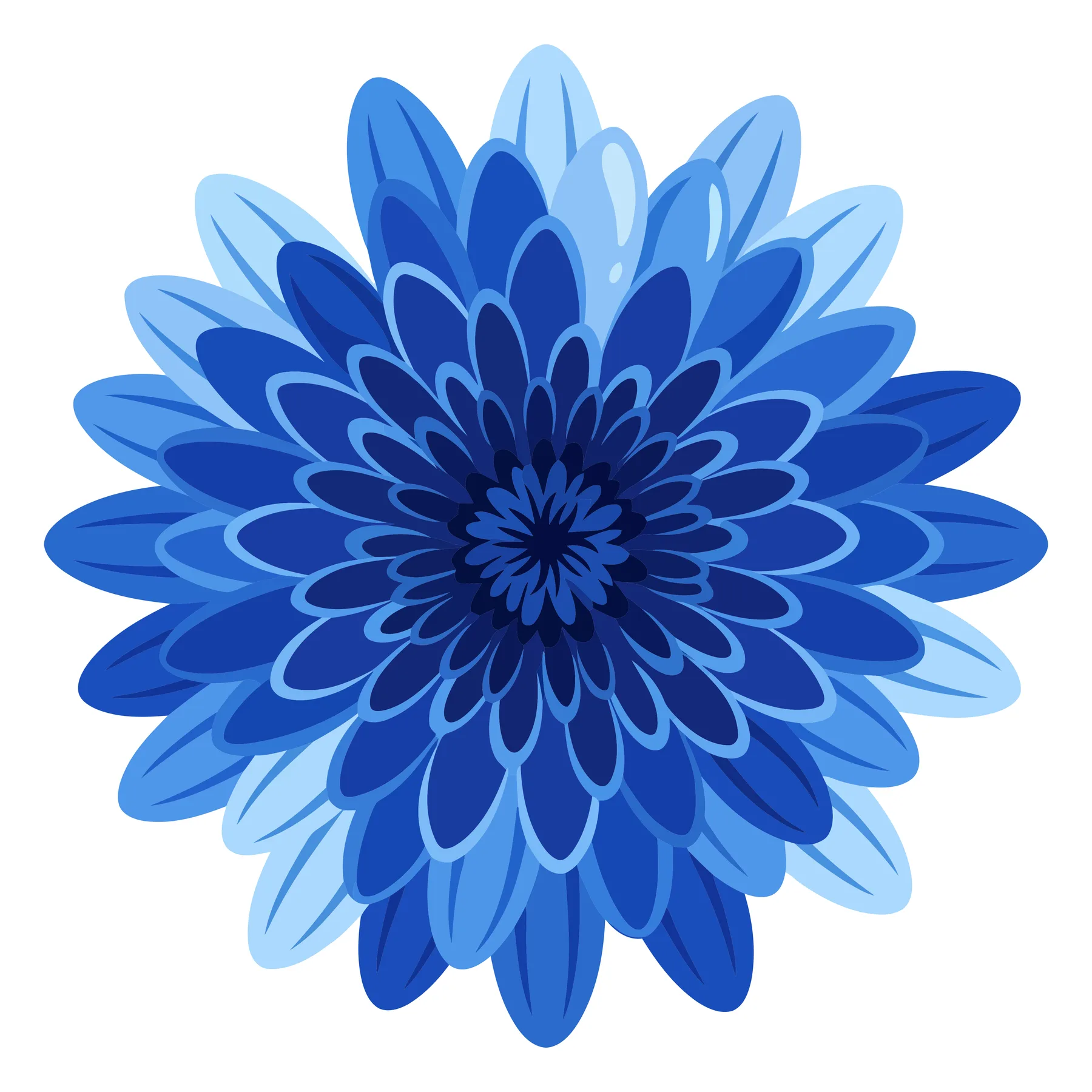 Vibrant Blue Chrysanthemum Flower Vector Illustration
