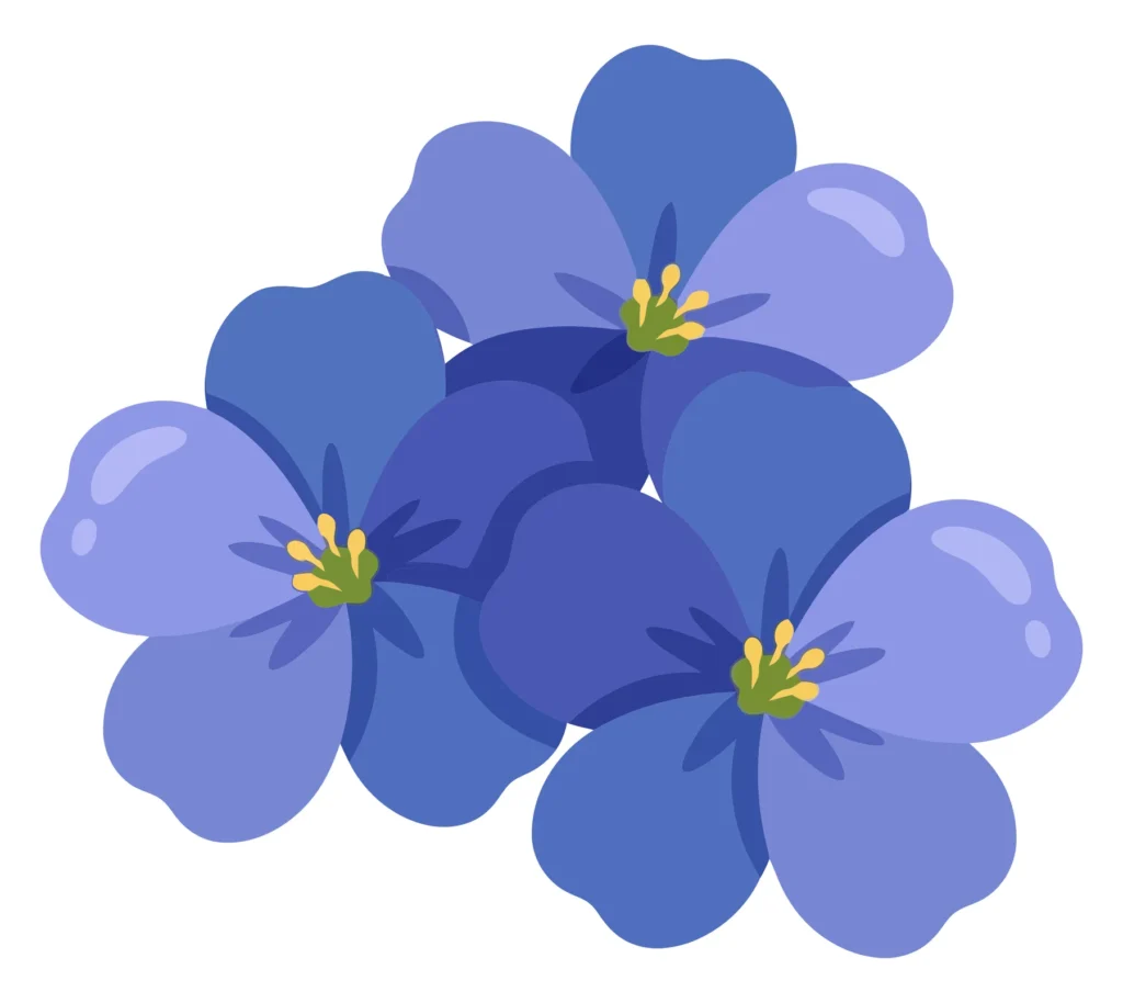 beautiful blue flax flowers illustration