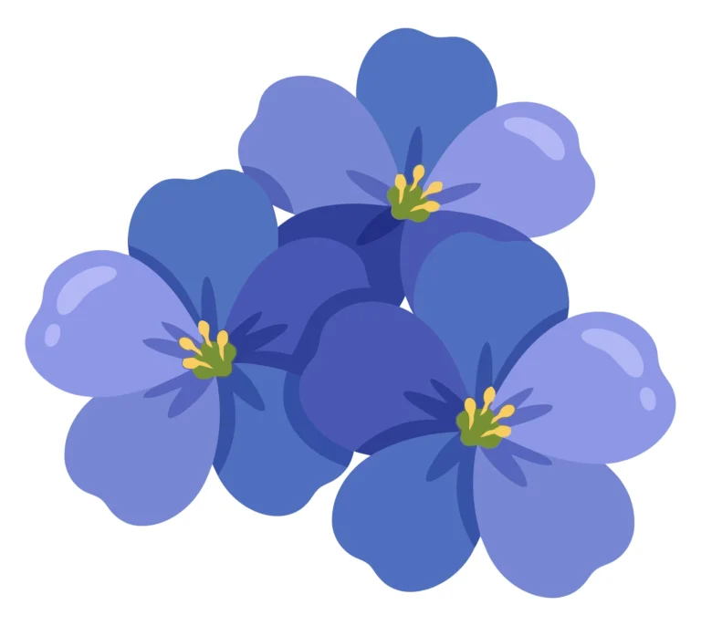 beautiful blue flax flowers illustration