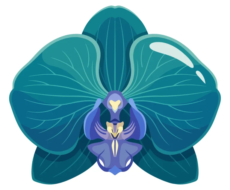 beautiful blue orchid flower vector illustration
