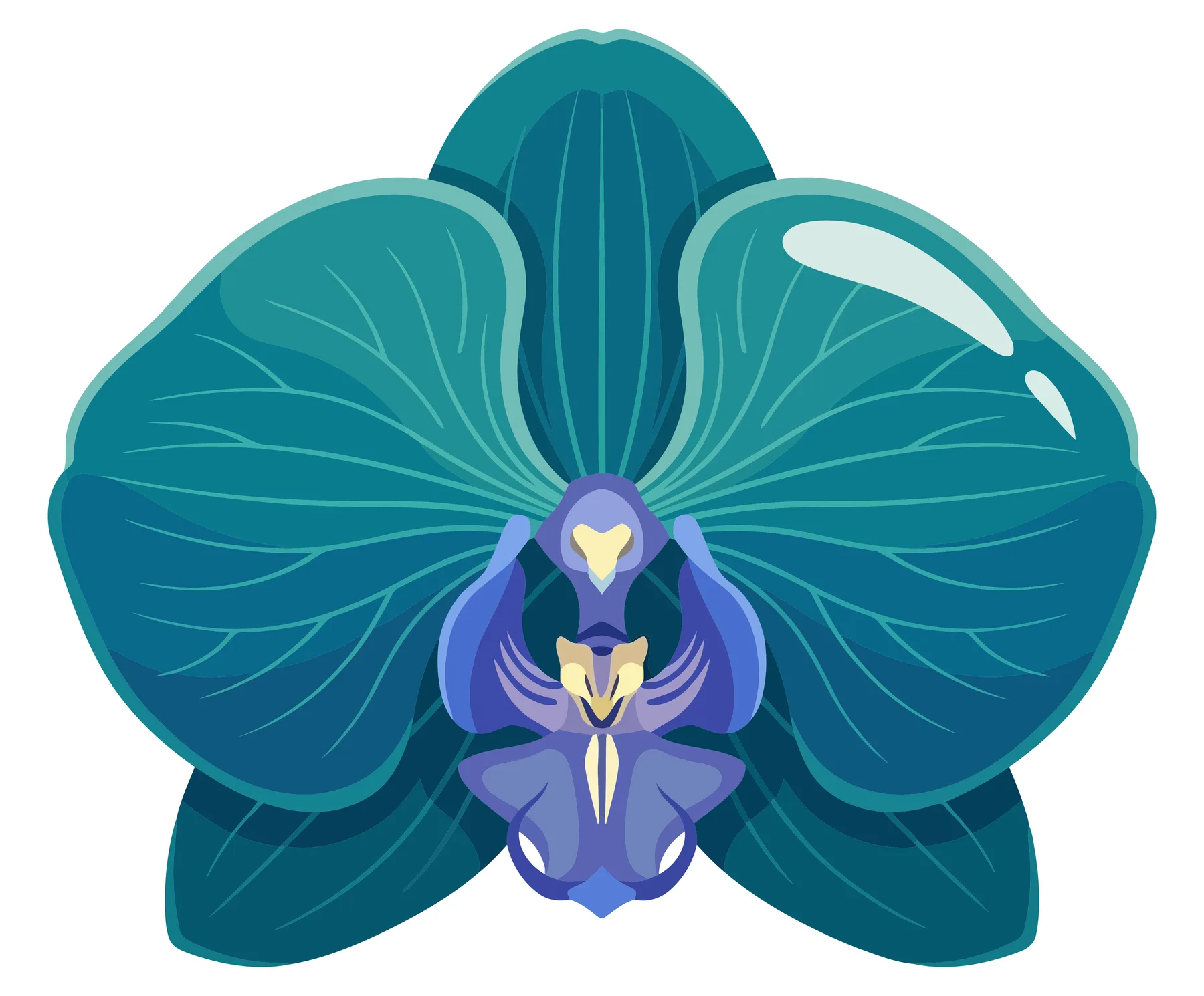 Blue Orchid Flower Vector Illustration