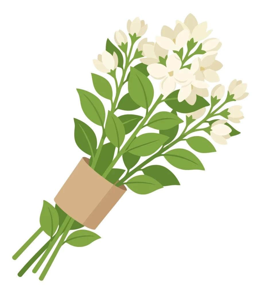 beautiful bouquet of fresh white jasmine flowers wrapped in paper, isolated on white background