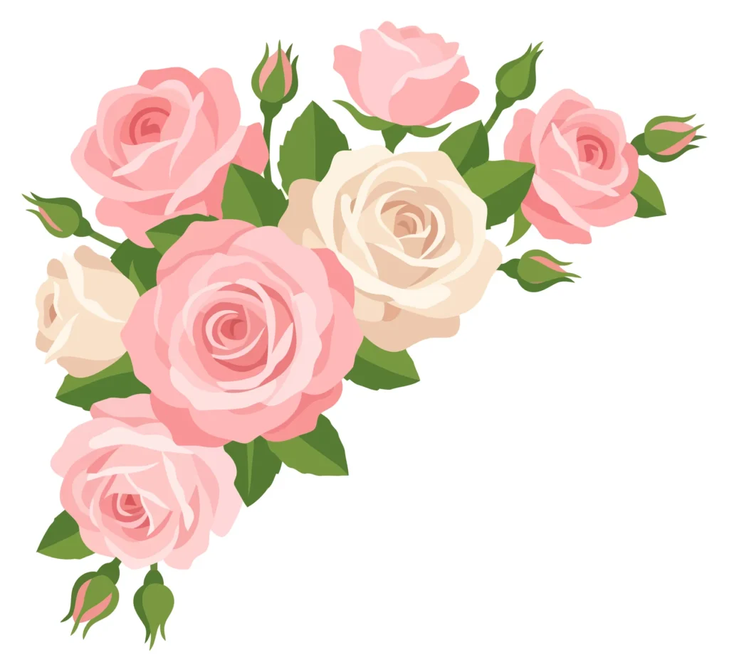 beautiful bouquet of pink and white roses with green leaves