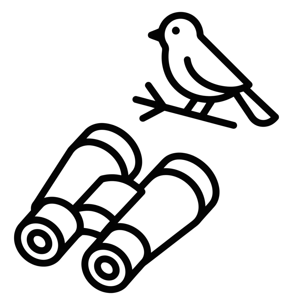birdwatching icon with binoculars and a bird on a branch