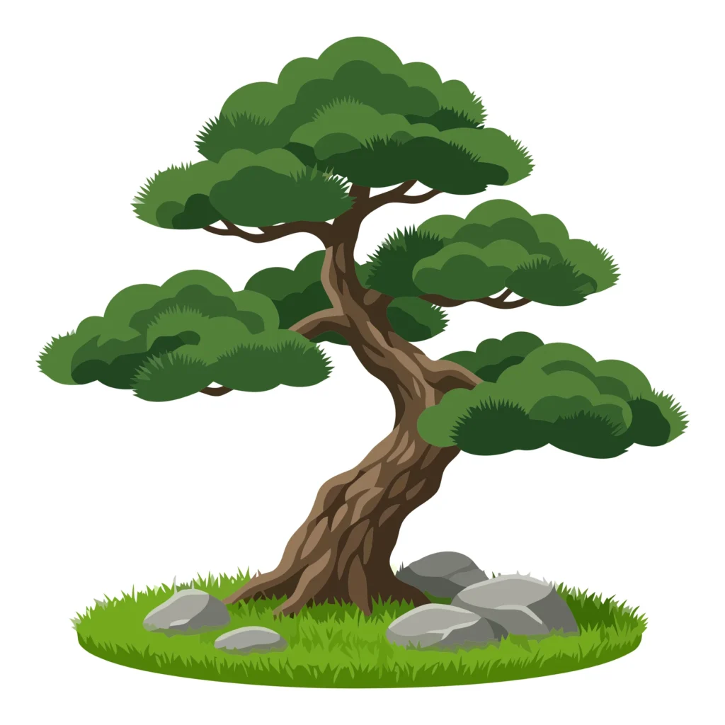bonsai tree with rocks on green grass