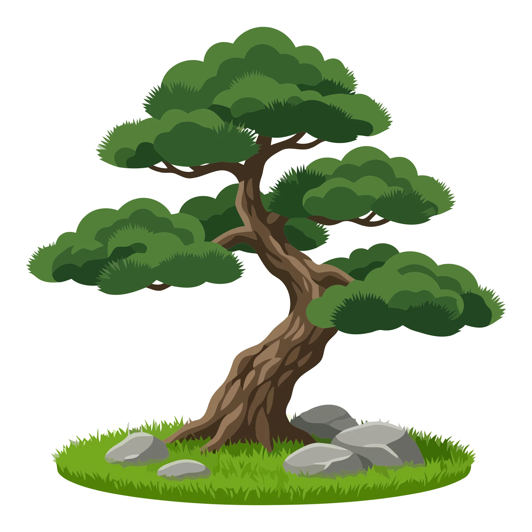 Illustrated Bonsai Tree with Rocks on Grass
