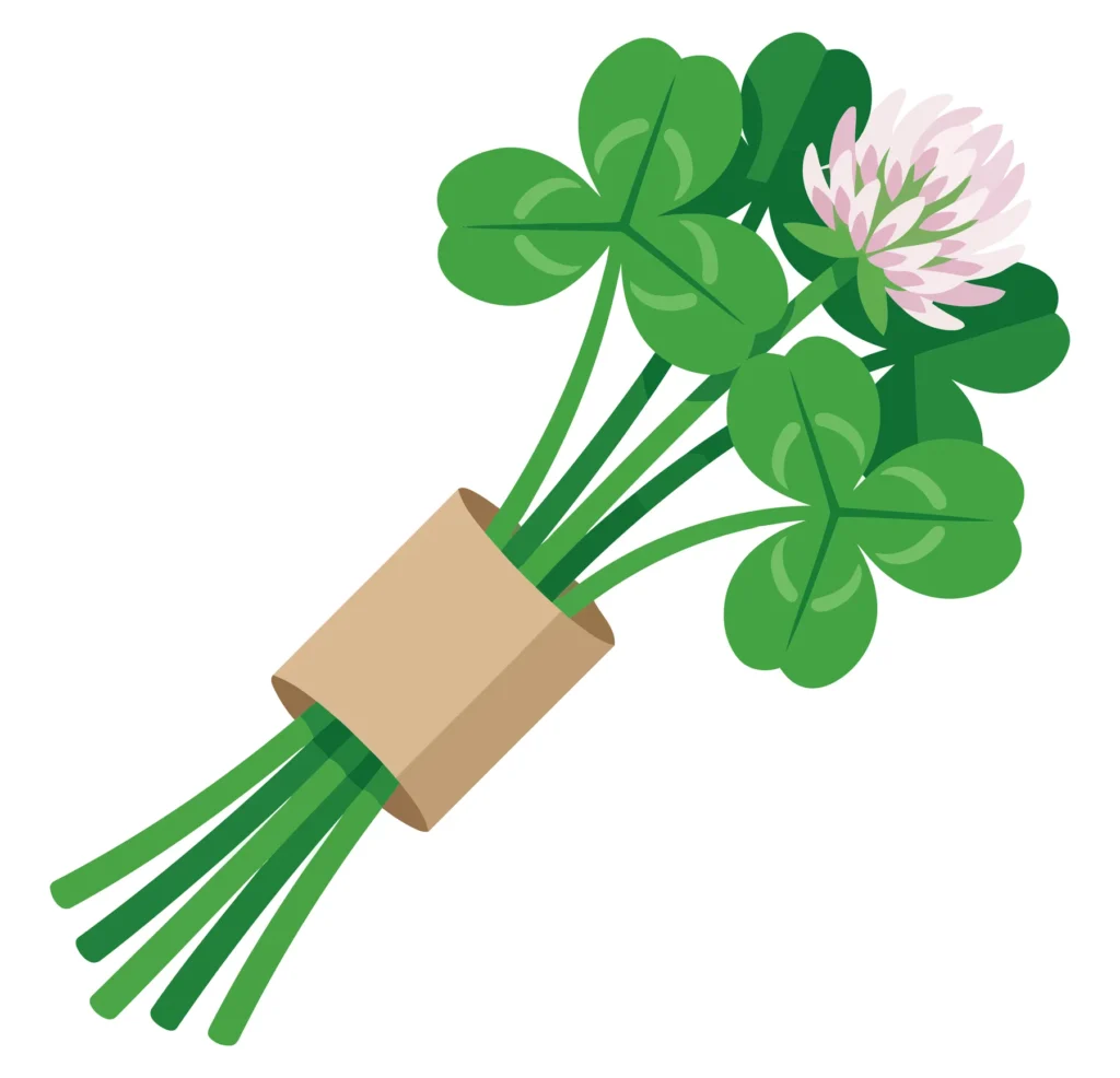 bouquet of fresh green clover leaves and pink flower tied with paper band isolated on white background