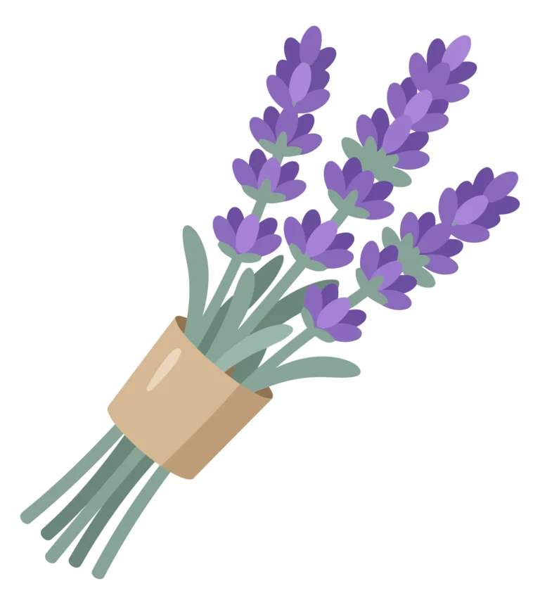 bouquet of lavender flowers wrapped in paper vector illustration