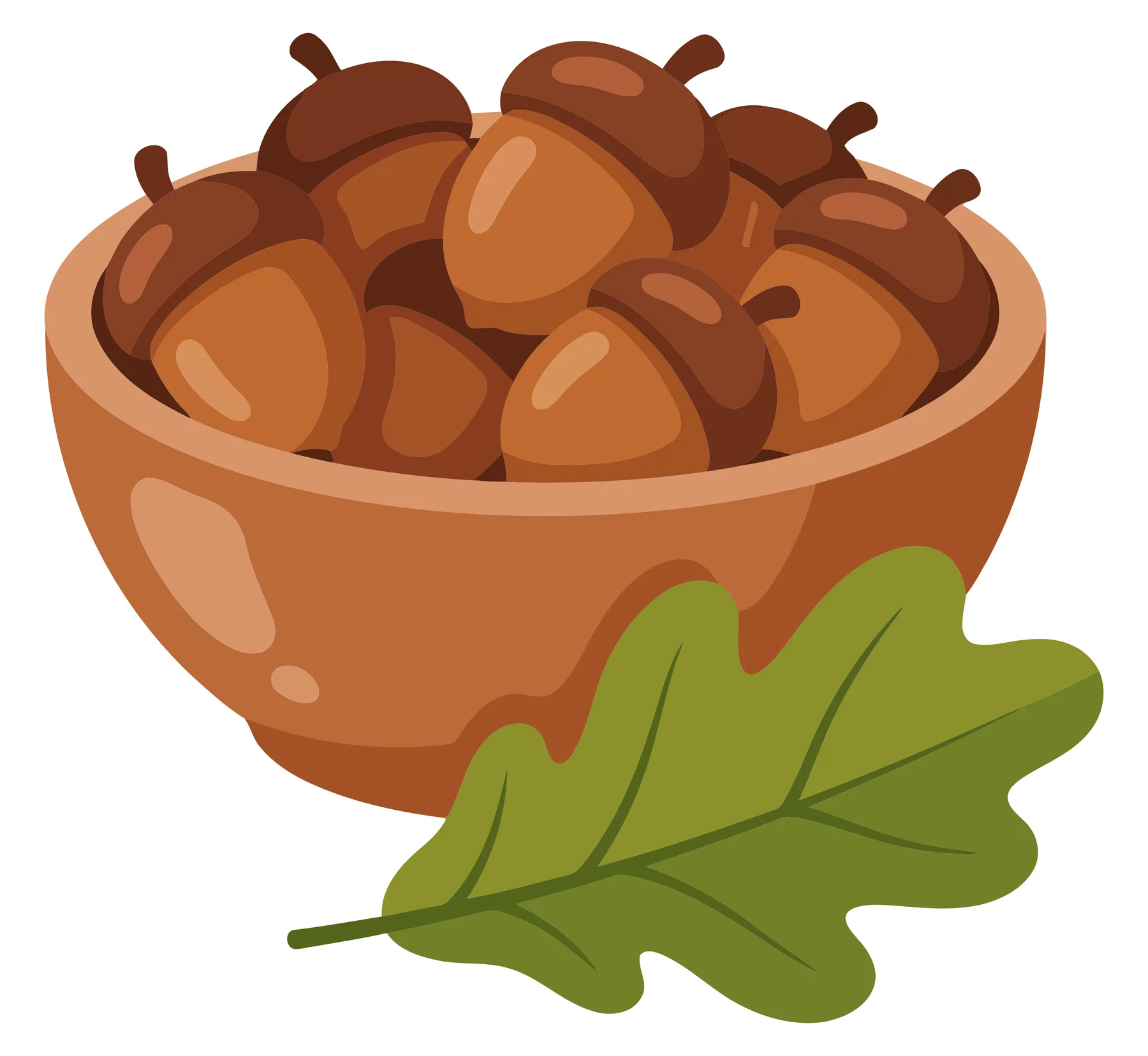 bowl full of ripe brown acorns with a green oak leaf, autumn harvest illustration