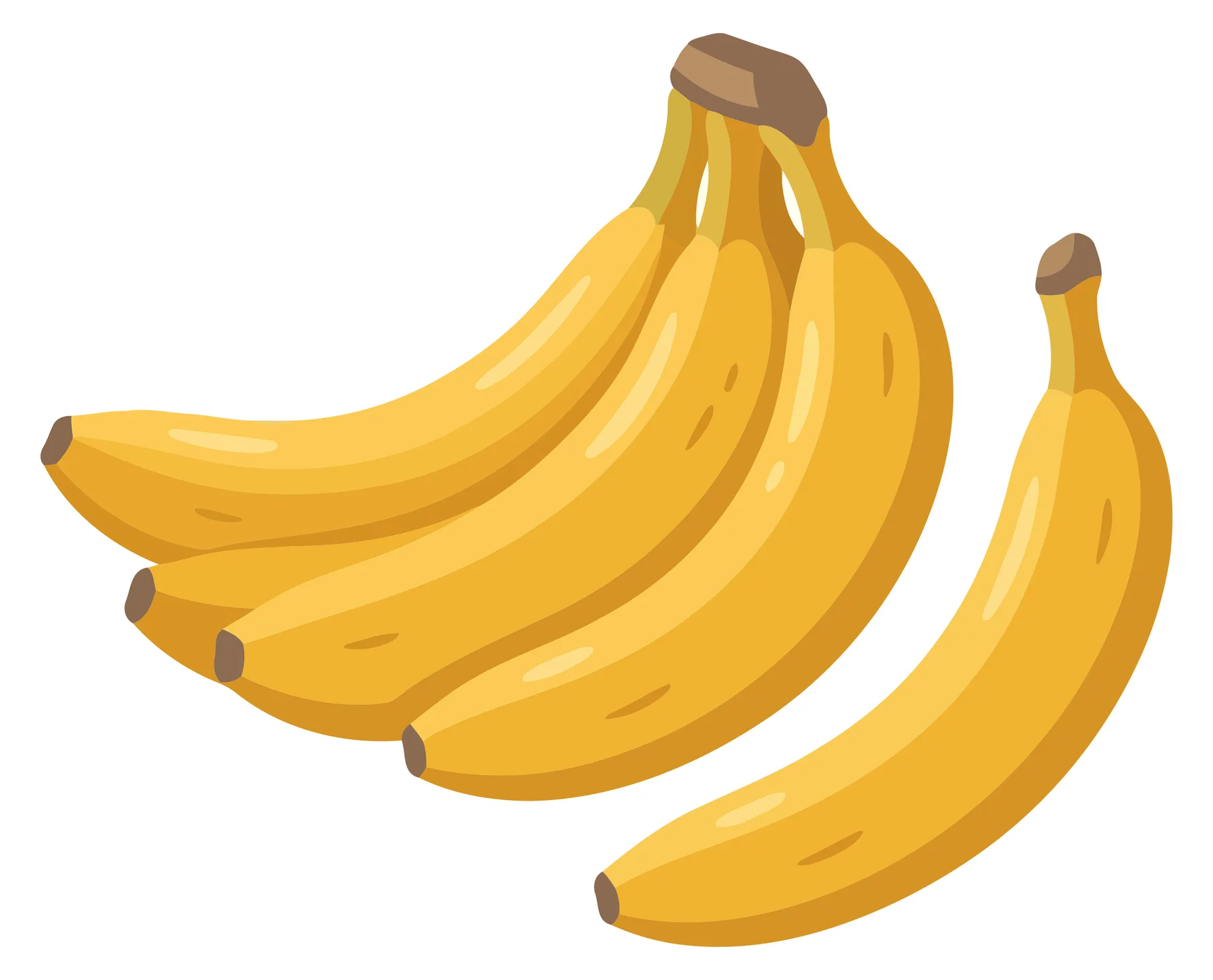 bunch of fresh ripe yellow bananas and one single banana isolated on white background