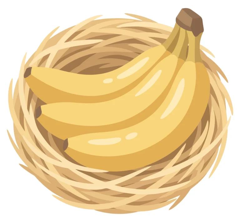 bunch of fresh yellow bananas in a woven nest